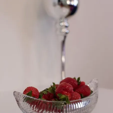 Center Luxury 2 4* Split